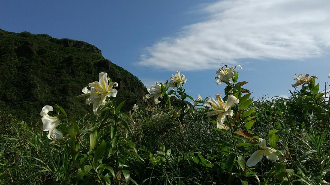 築100年の宿【はぶの家】 Osima Kültér fotó